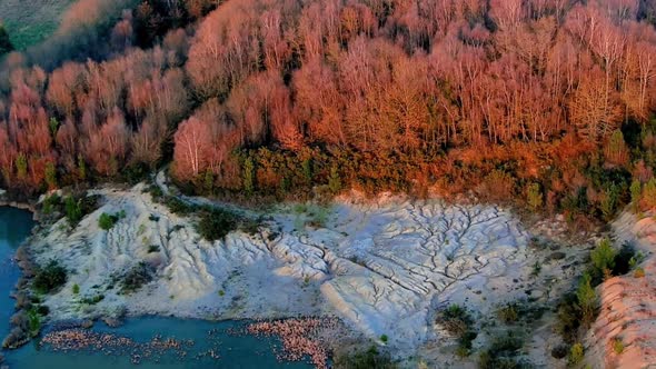 Aerial View Of Low Level Lake Pond With Sun Lit Autumnal Trees In Rural Galacia. Dolly Back