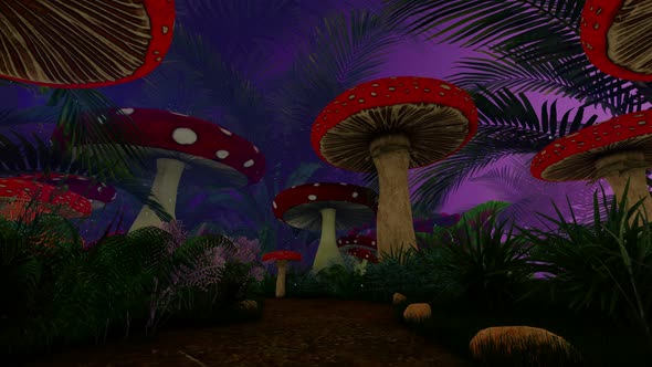 Mushrooms Magic Forest