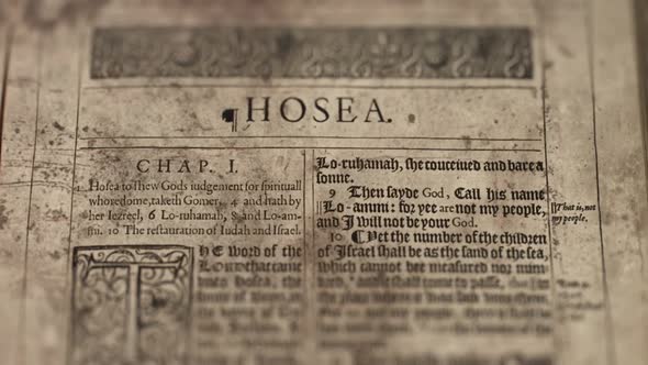 The Book Of Hosea, Slider Shot, Old Paper Bible, King James Bible