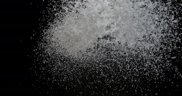 Coconut, cocos nucifera, Powder Exploding against Black Background, slow motion 4K