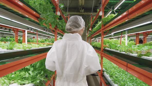 Agricultural Expert In Vertical Farm