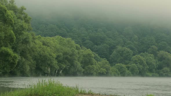 Morning fog on the River