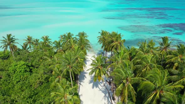 Aerial flying over texture of exotic island beach voyage by shallow ocean with white sand background