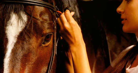 Close-up of woman preparing harness for horse 4k