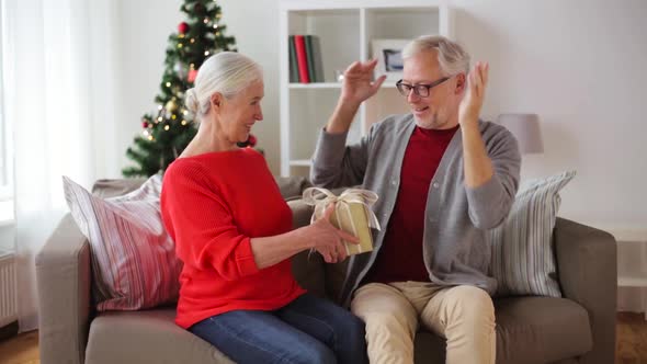 Happy Smiling Senior Couple with Christmas Gift 113