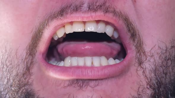 The Mouth of a Talking Man
