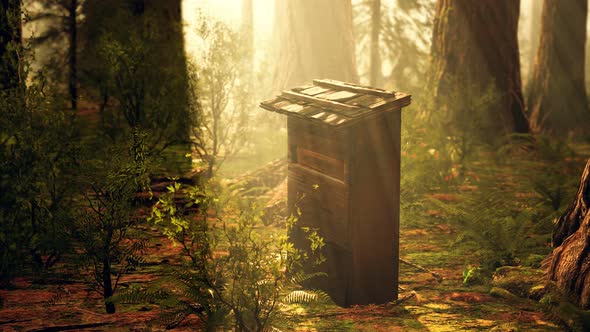 Old Wooden Beehive in Forest in Fog