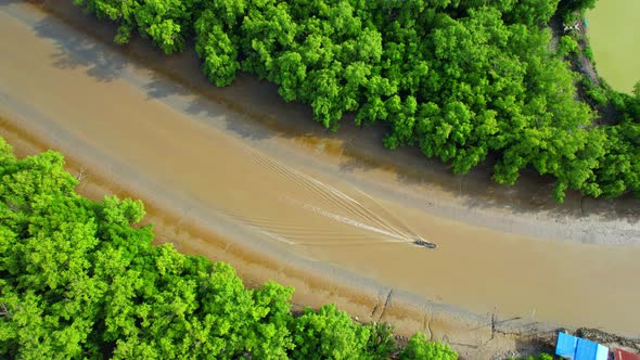 Top view of the boat cruising along the canal with mangroves surrounding