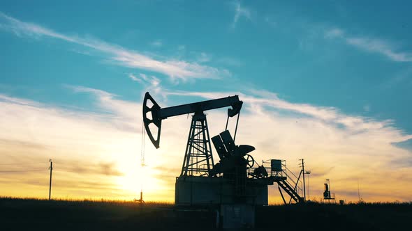 Silhouette of a Working Oil Pumpjack in an Oil Field at Sunset