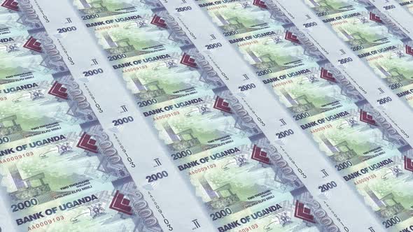 Uganda  Money / 2000  Ugandan Shilling 4K