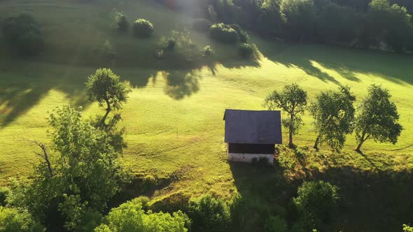 Summer morning at the cottage