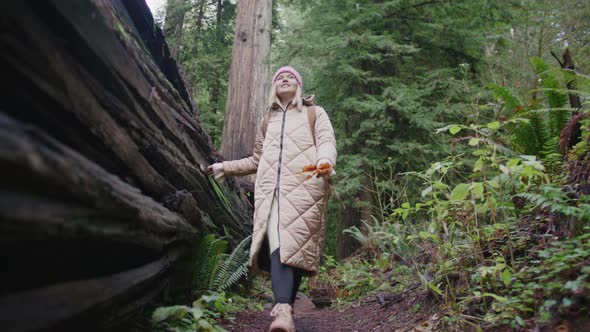 Female Hand Environmental Activist Gently Touches Tree Bark Forest Woman Nature