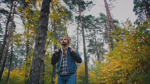 Young Male Backpacker Walking in Forest Enjoying Beautiful Autumn Nature Slow Motion Below Shot