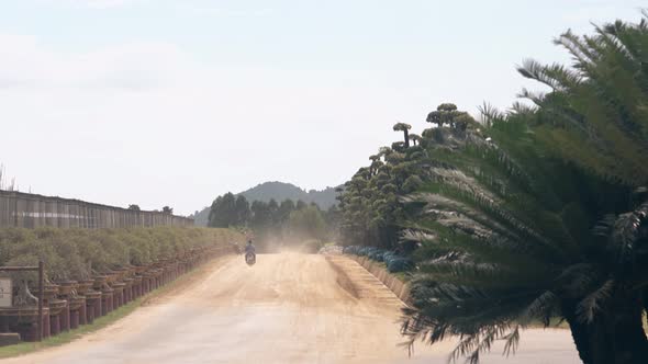 Man Rides Motorbike Past Green Bushes Fence and Trees