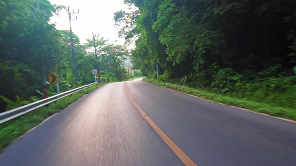 driving on the roads of tropical Asia. palm trees along the route.