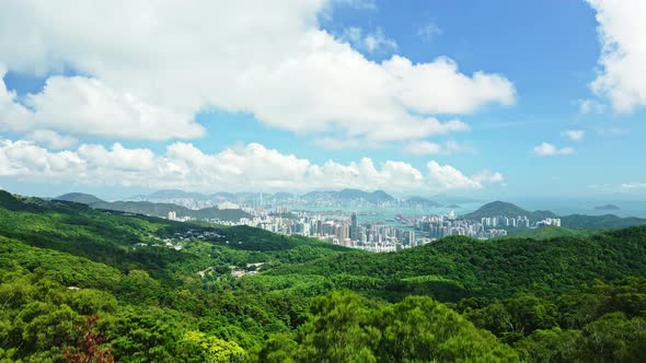 A dynamic ascending aerial footage from below the trees revealing the beautiful cityscape of Tseung