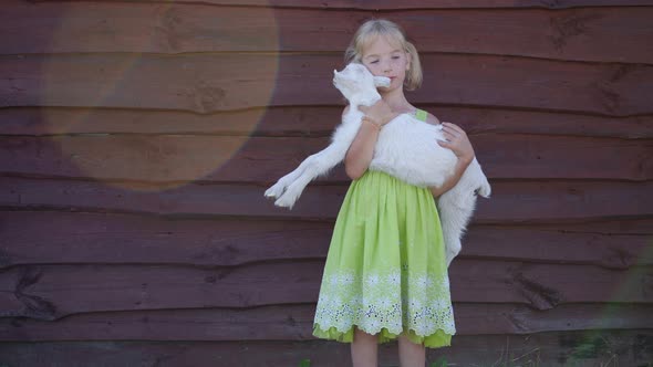 6 Year Old Girl Holding a Small Goat in Her Arms.