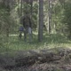 Man walking in the forest - VideoHive Item for Sale