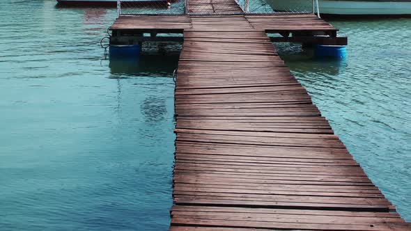 The Dock and the Sea