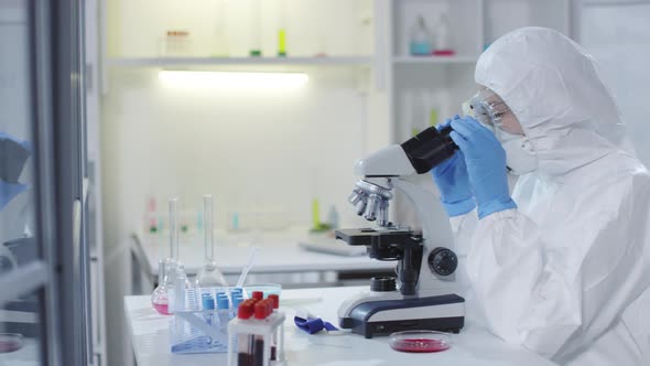 Medical Scientist Inspecting Blood Sample