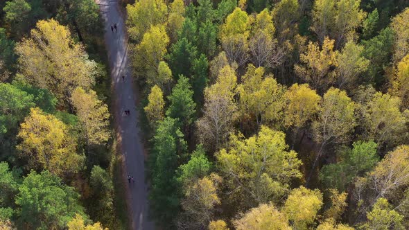 People Walk in the Park on a Warm Autumn Day