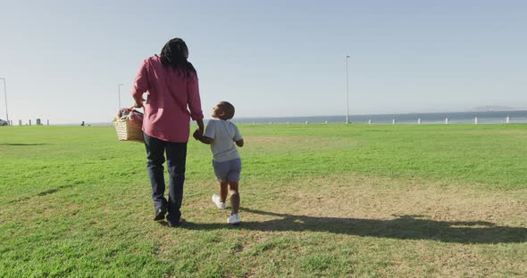 Video of back of african american father and son walking on lawn, looking place for picnic