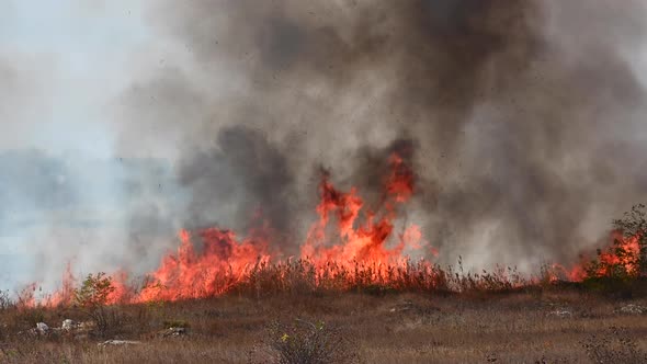 High Fire Burns Dry Grass Reeds Wheat Within Boundaries Small Town