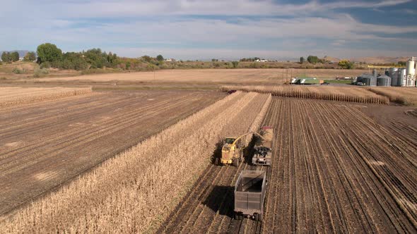 Aerial view of combine loading trucks in cornfield