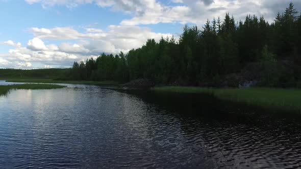 Lake surrounded by vegetation