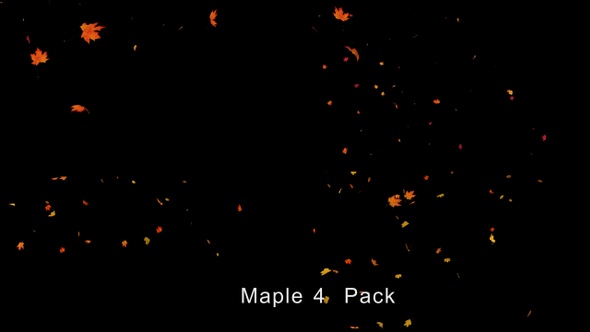 Falling Maple Leaves 4 pack 4K