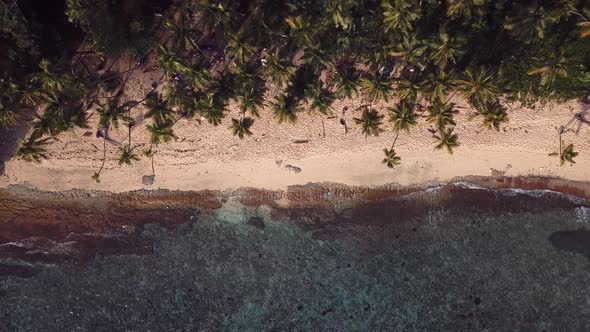 4k 24fps Paradise Beach With Palms And Mountains Inthe Back In The Caribbean Cental Drone Beach