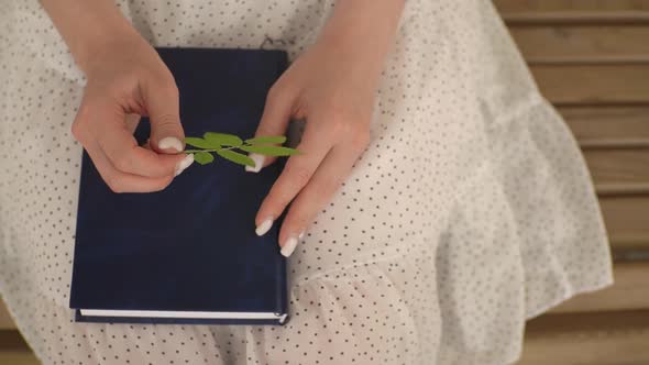 Holding a Green Leaf of a Tree