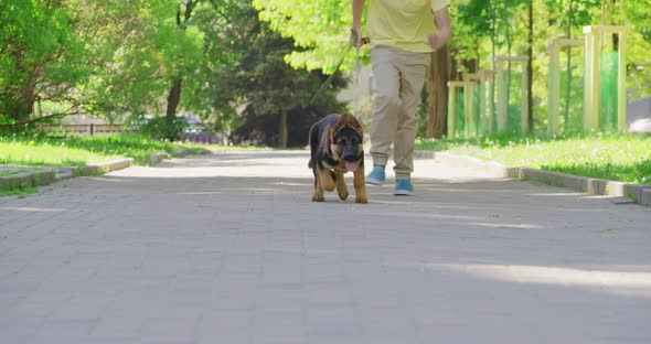 Little Boy with Puppy on Leash Running at Park