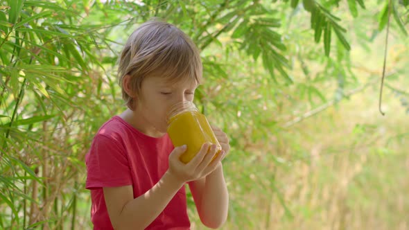 A Little Boy in Red Shirt Drinks a Mango Fruit Shake