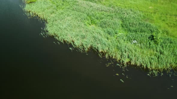 Flight Along The Shore Of The Lake. Sun Glare Is Visible On The Surface Of The Water.