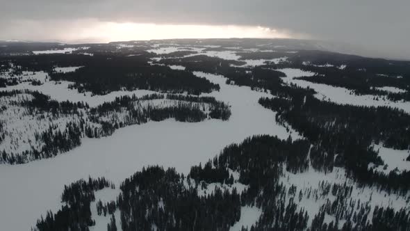 Wild Forest in a Snowstorm. Beautiful Nature in a blizzard Drone.