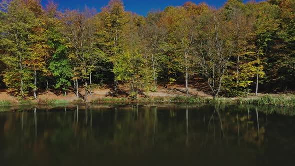 Aerial Drone Zoom Out of Autumn Forest Trees Near Gosh Lake in Armenia