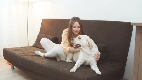 Young Businesswoman Plays with Big White Dog in Apartment on the Couch