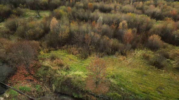 Flight over the autumn park. Park on the shore of a river.