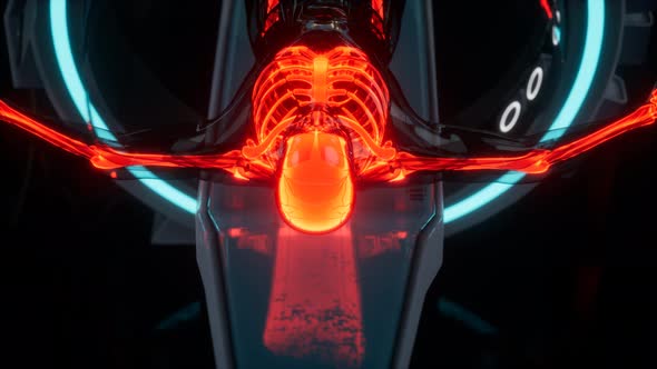 Human Skeleton Bones Scan Exam in Lab alt