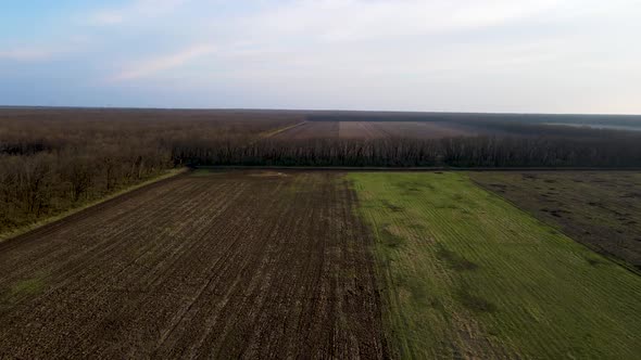 Drone flies over a field in the forest