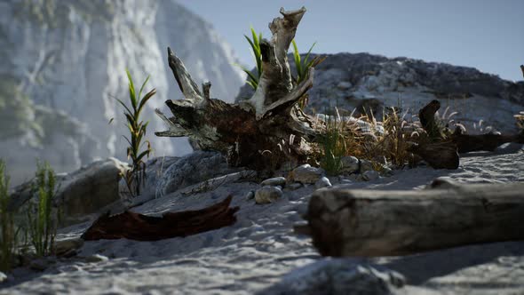 White Sand Beach Near Rocky Cliffs at Ocean alt