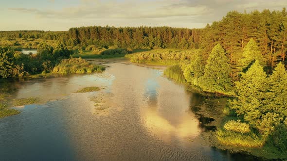 Elevated View of Green Forest On River Coast