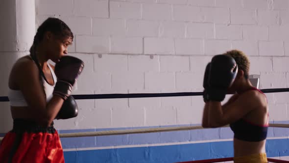 Two mixed race women training in boxing ring