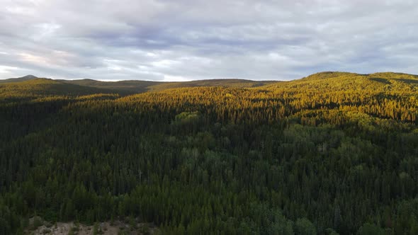 Dense, lush forest sprawling over mountains and valleys in Dease Lake, British Columbia, Canada.  Wi