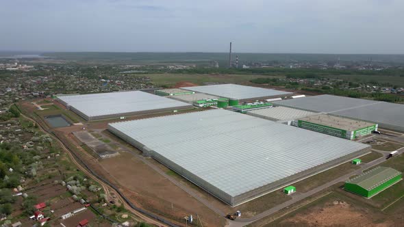 Aerial View of Huge Areas of Greenhouses for Growing Vegetables
