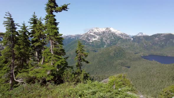 Alpine Mountain Views on Vancouver Island