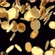 Coins Falling - VideoHive Item for Sale