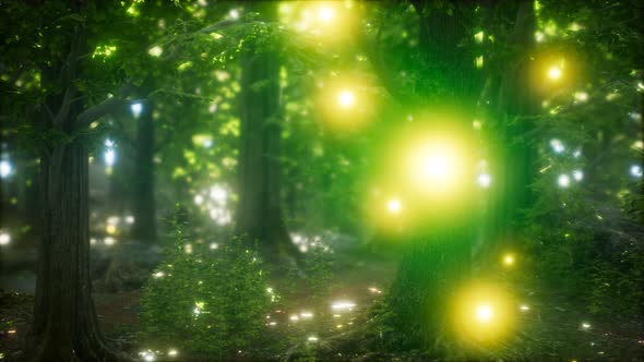 Firefly Flying in the Forest alt