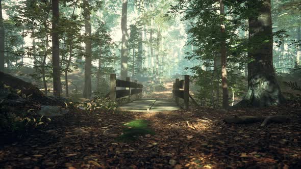 Old Wooden Bridge Over a Small Stream in a Park